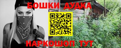 хмурый Бийск