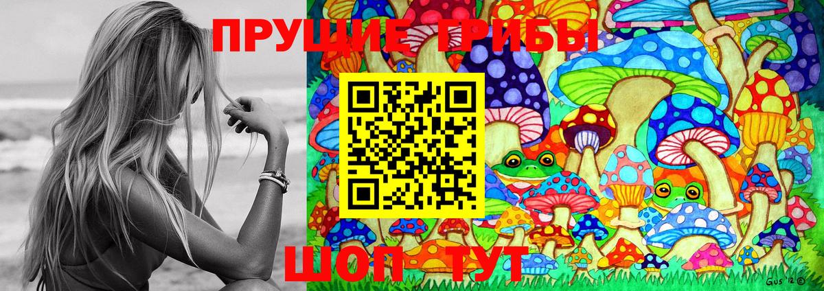 Псилоцибиновые грибы мухоморы  Вход с VPN  Кизляр 