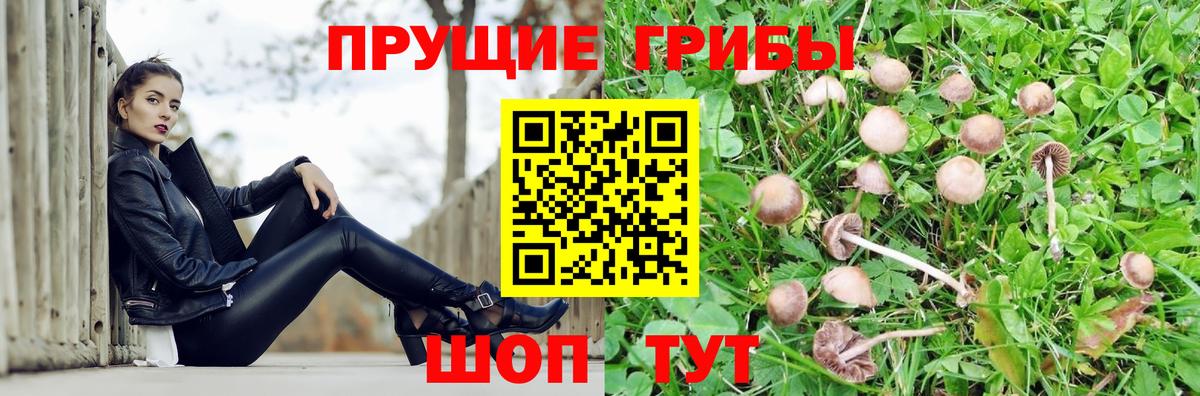 Галлюциногенные грибы ЛСД Кизляр